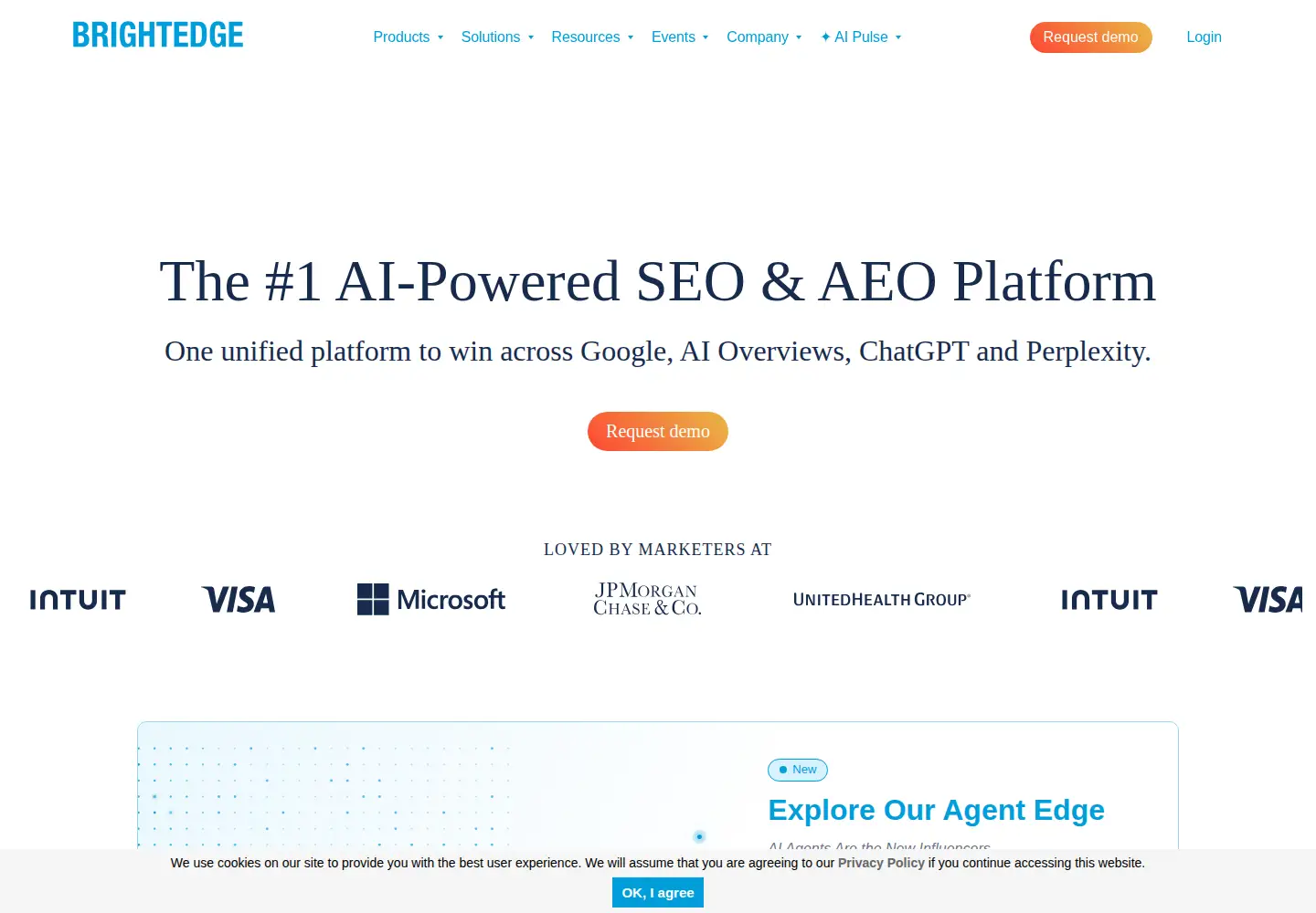 Captured homepage of brightedge.com in the current scan