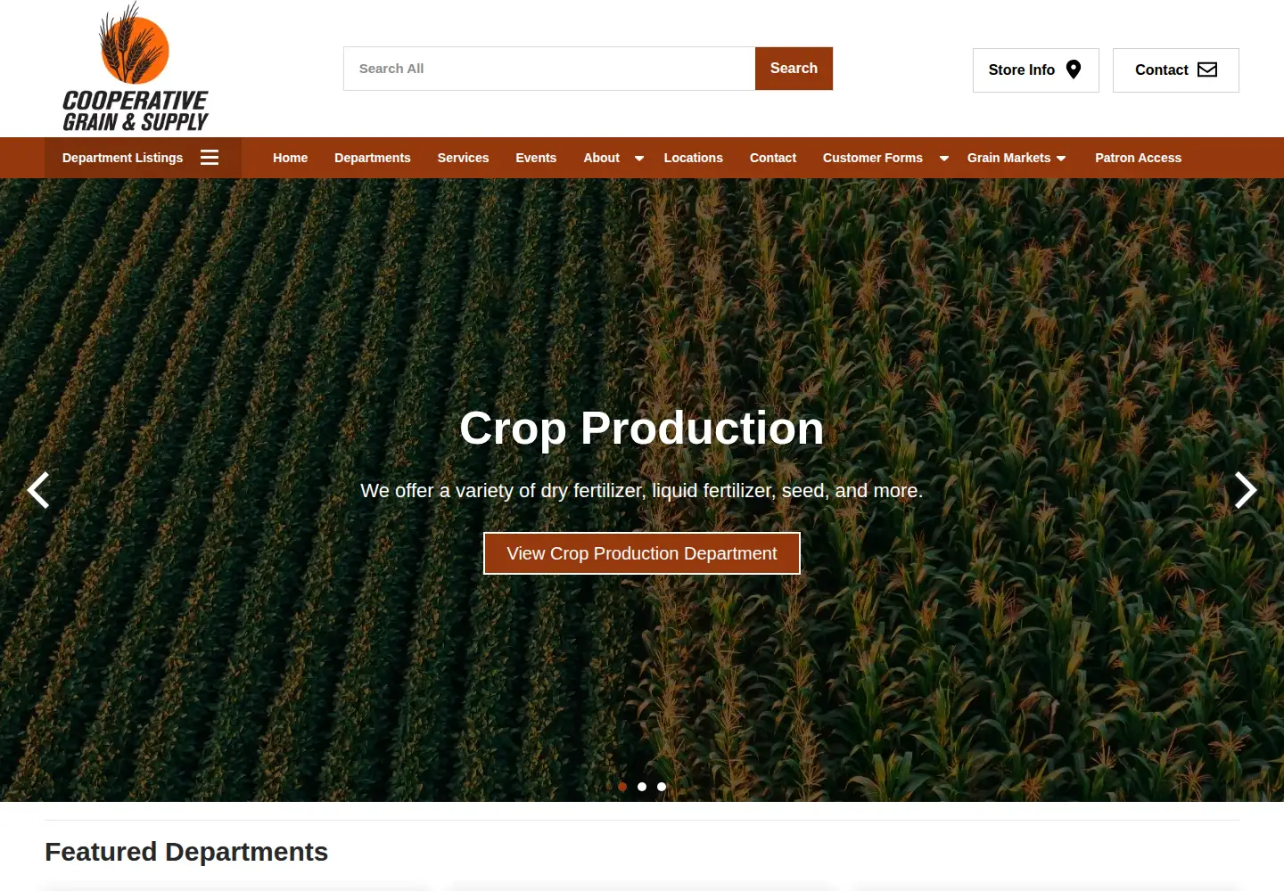 Captured homepage of cgsmc.com in the current scan