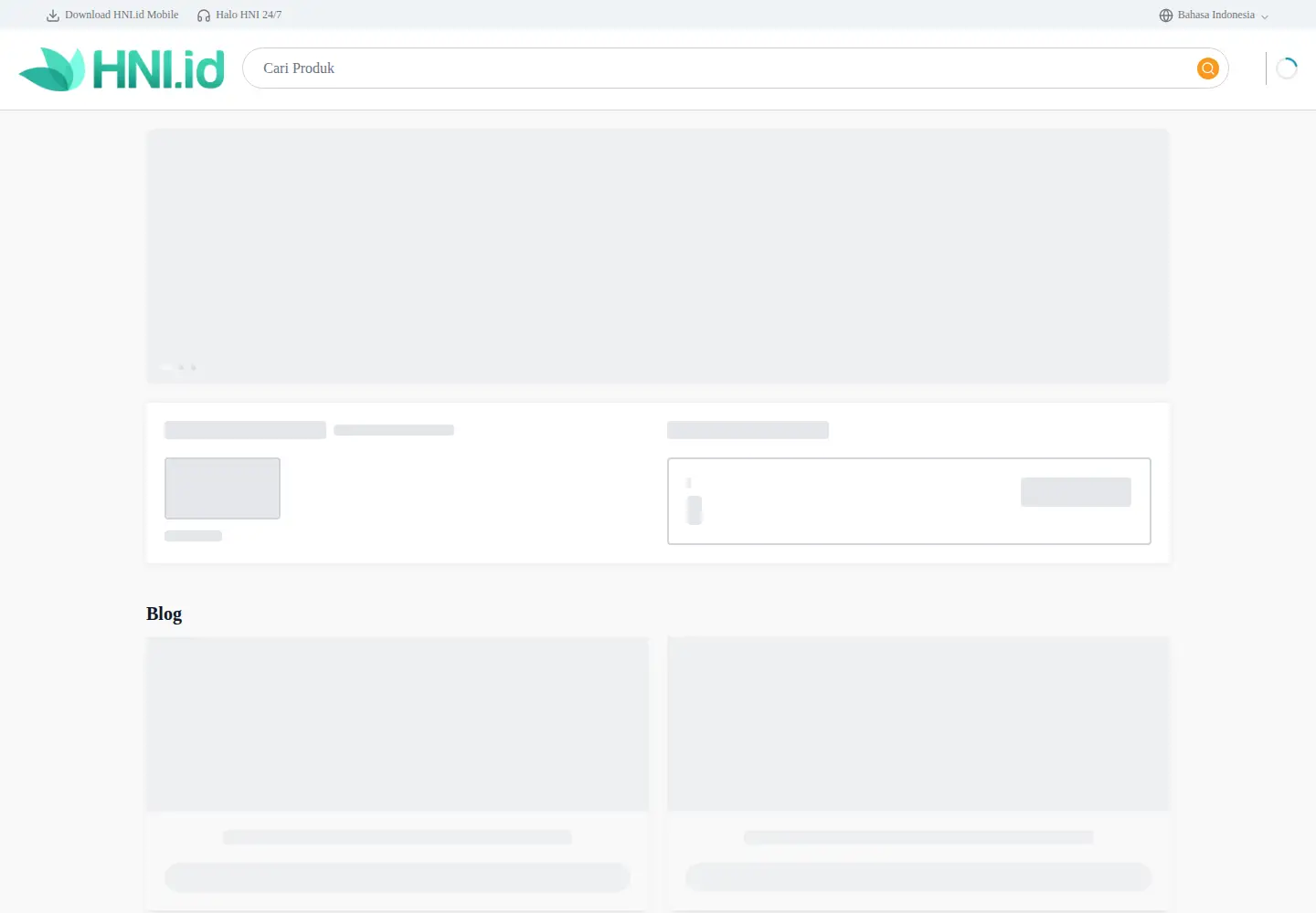 Captured homepage of hni.id in the current scan