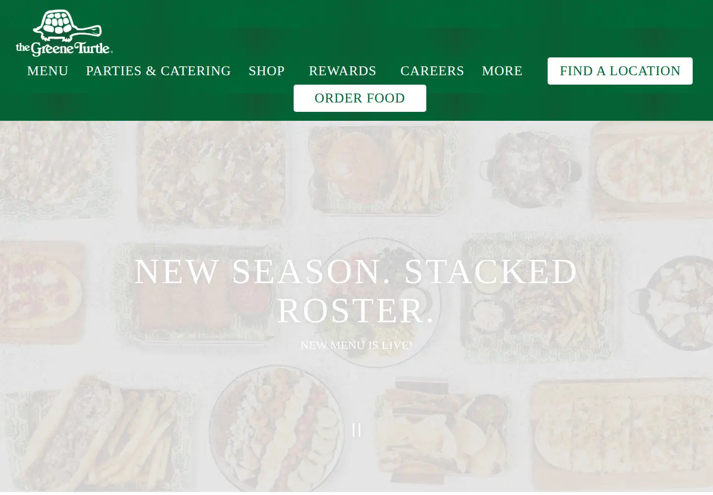 Captured homepage of thegreeneturtle.com in the current scan