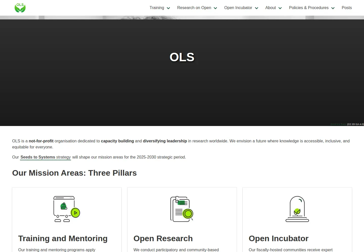 Screenshot of we-are-ols.org