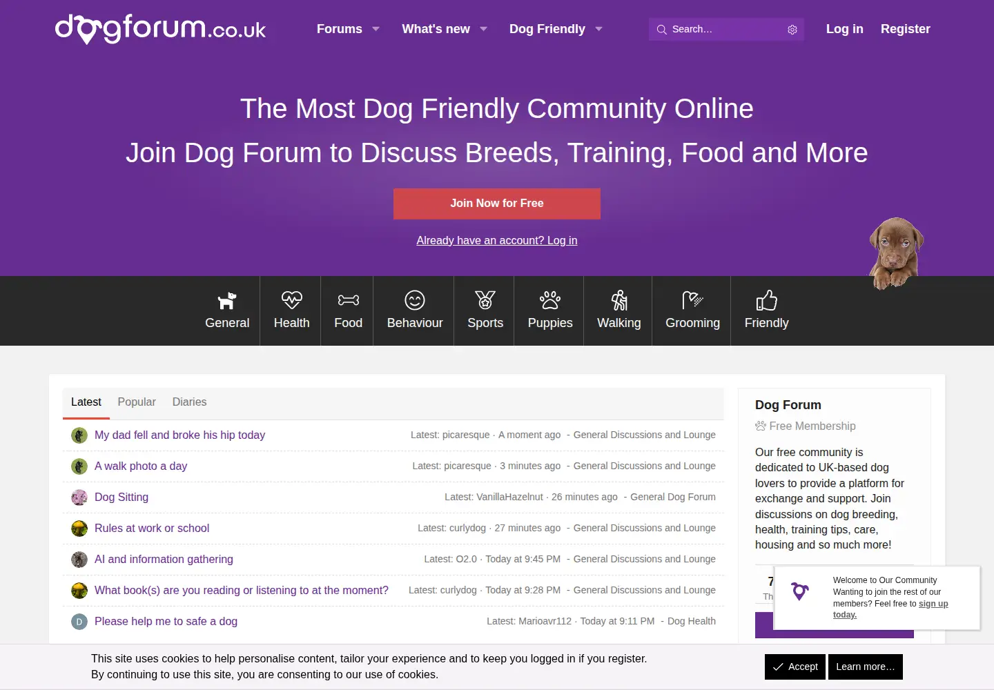 Screenshot of dogforum.co.uk