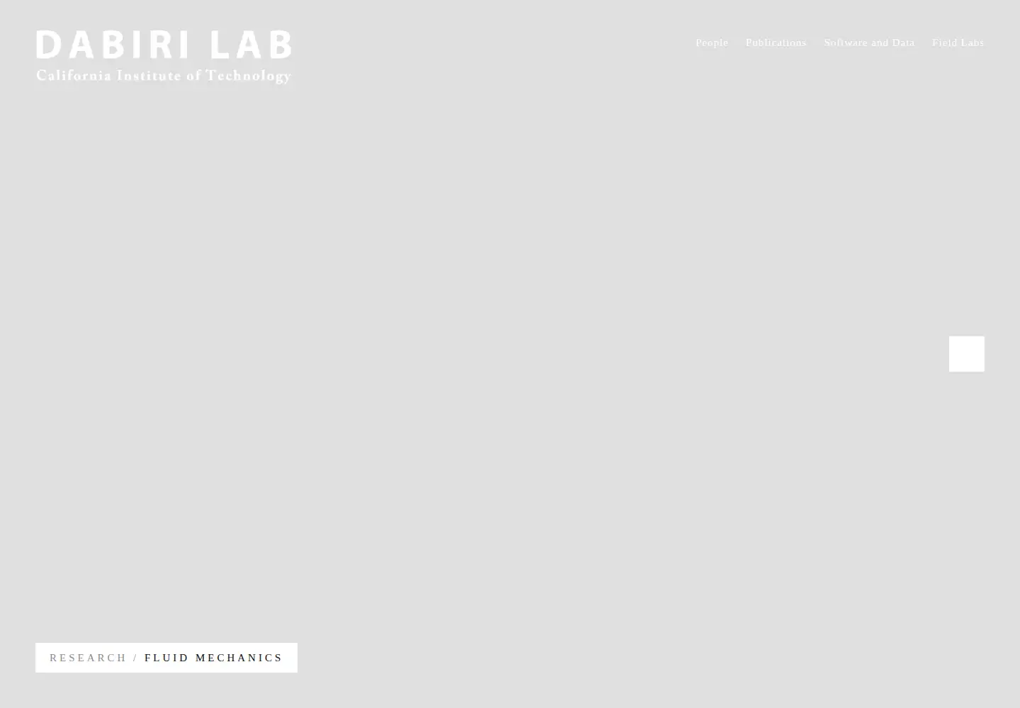 Captured homepage of dabirilab.com in the current scan