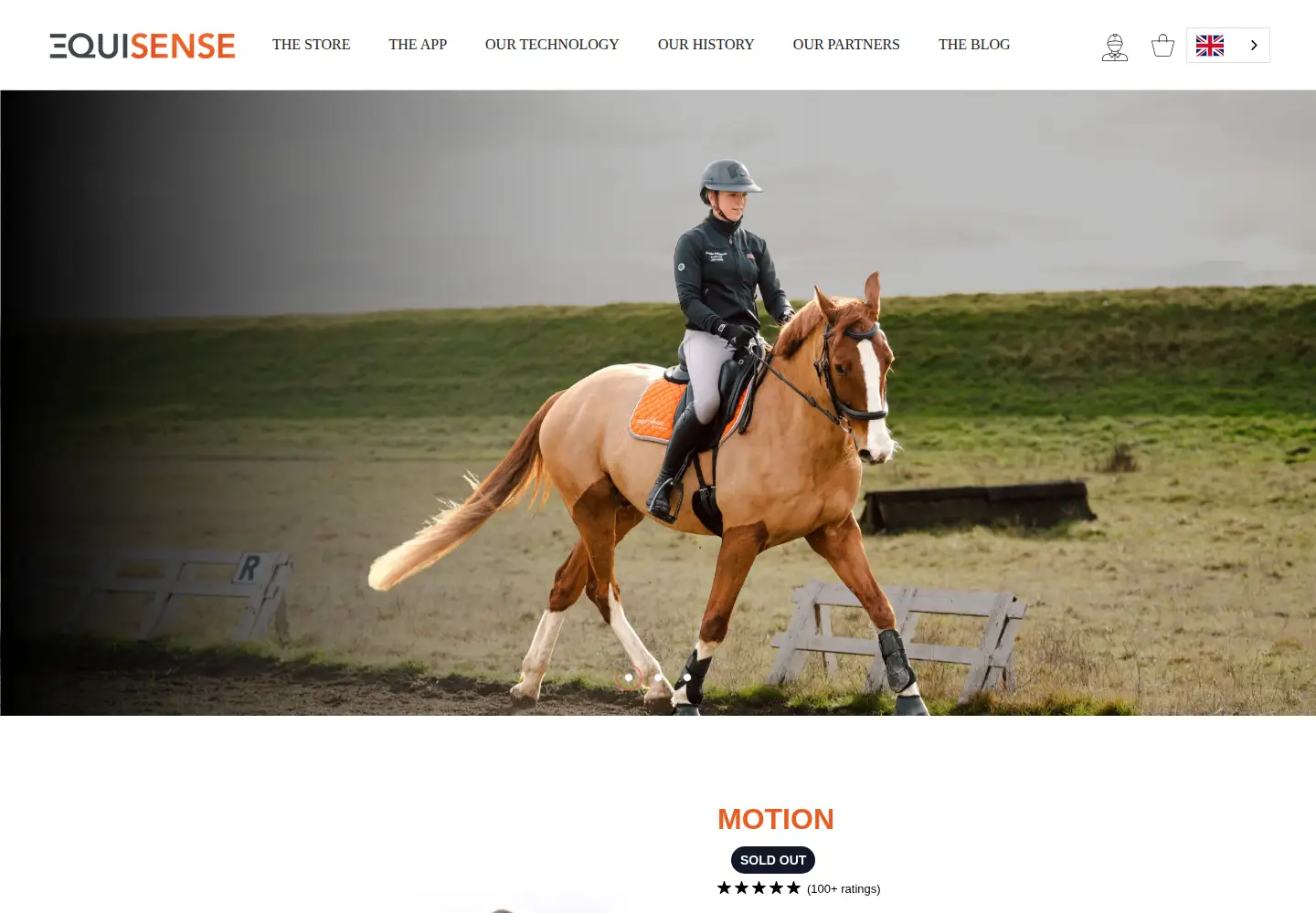 Screenshot of equisense.com