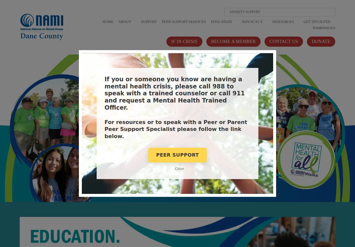 Captured homepage of namidanecounty.org in the current scan