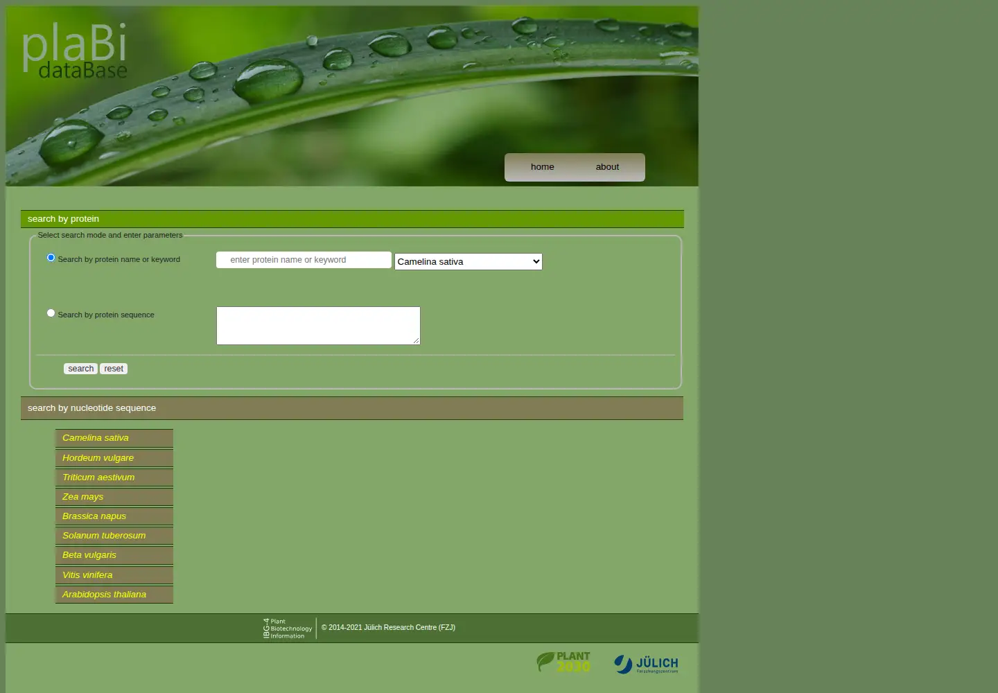 Screenshot of gabipd.org