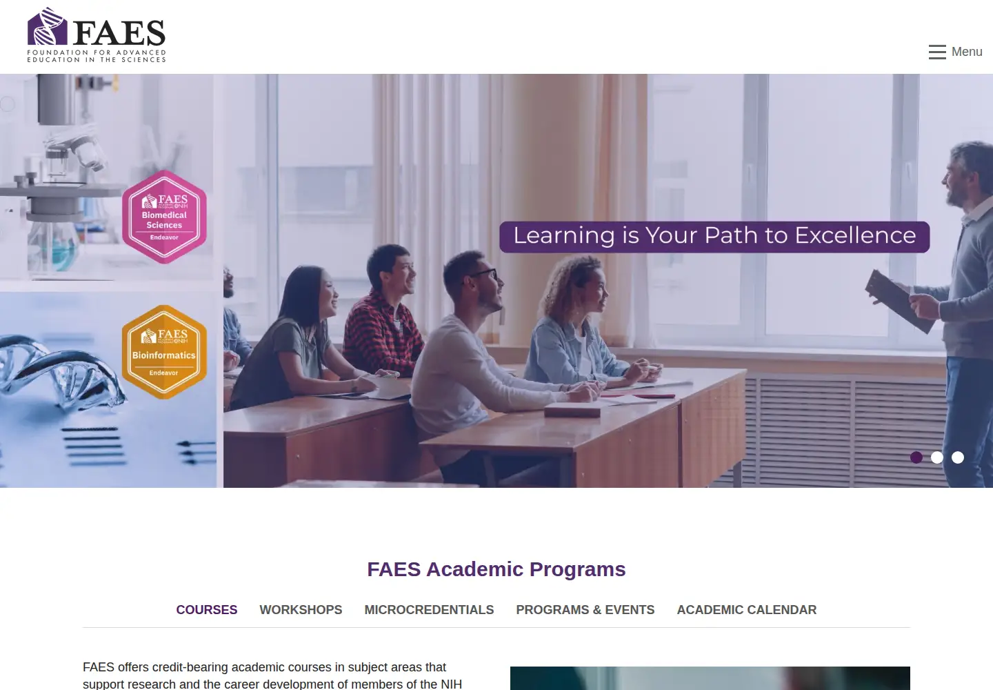 Screenshot of faes.org