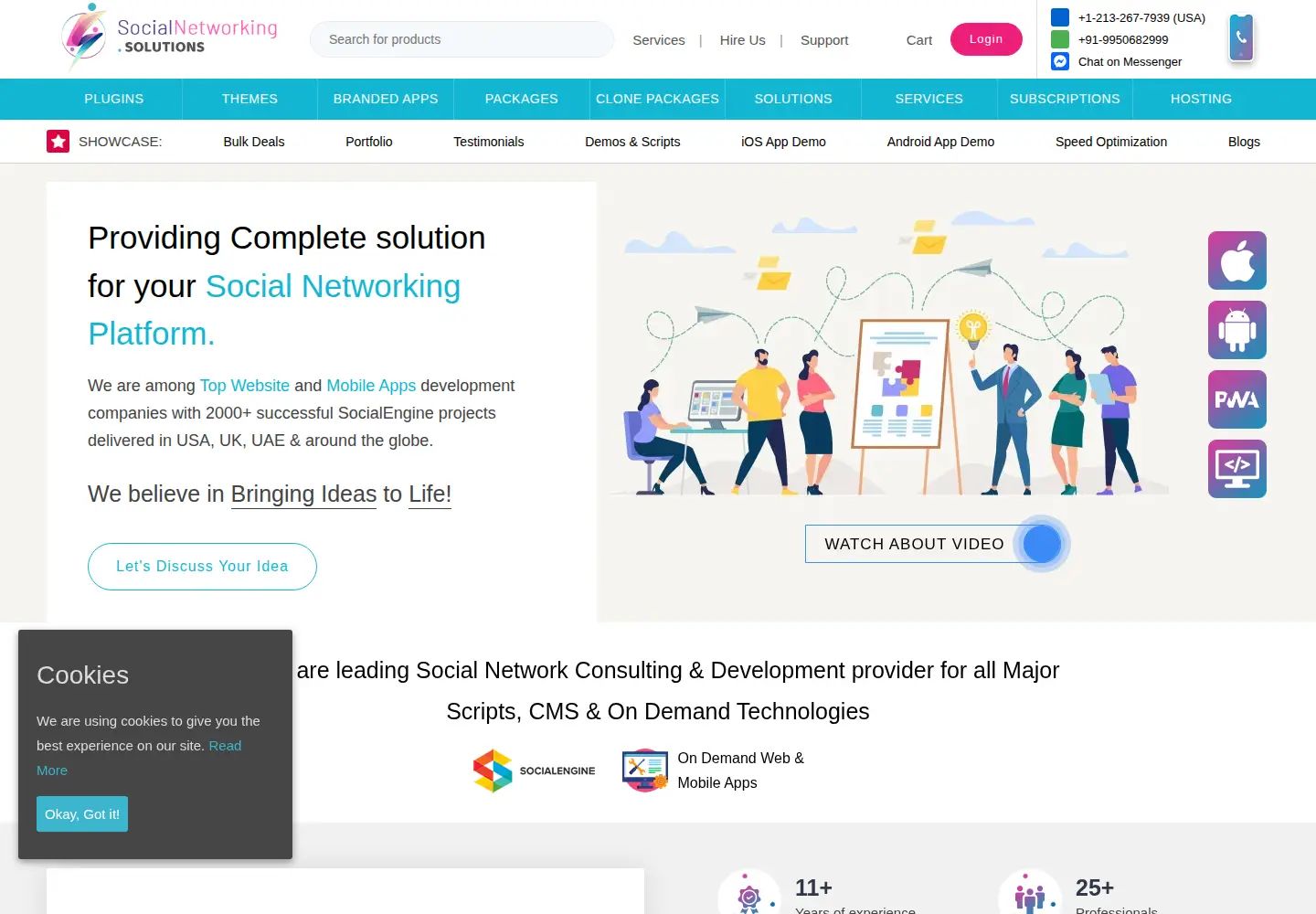 Captured homepage of socialnetworking.solutions in the current scan