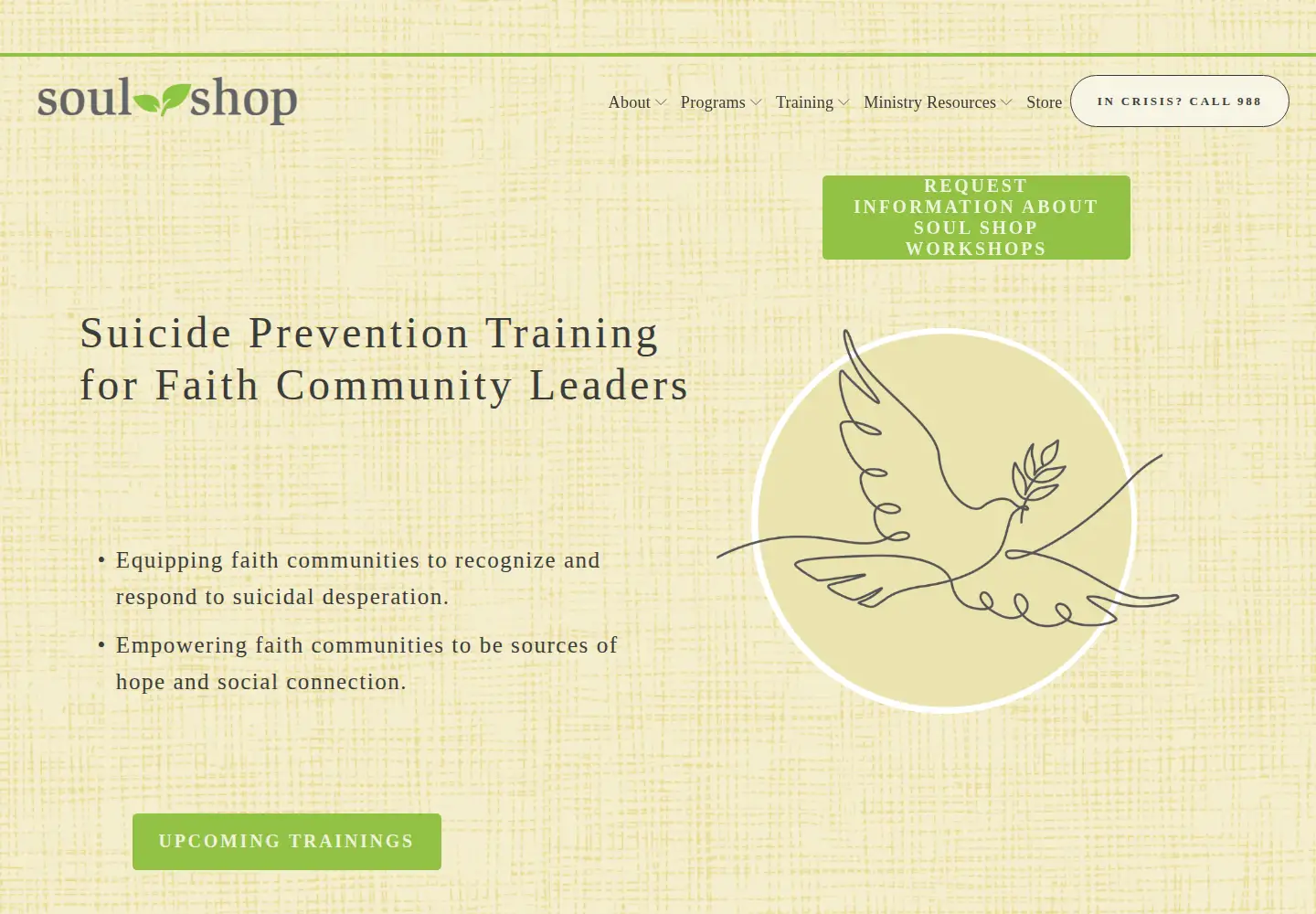 Captured homepage of soulshopmovement.org in the current scan