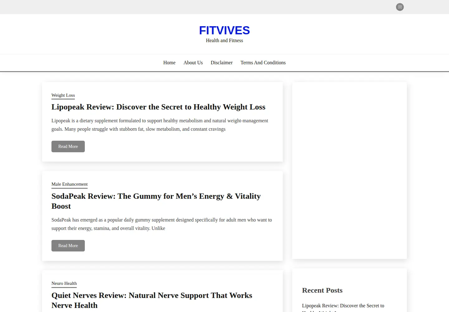 Captured homepage of fitvives.com in the current scan