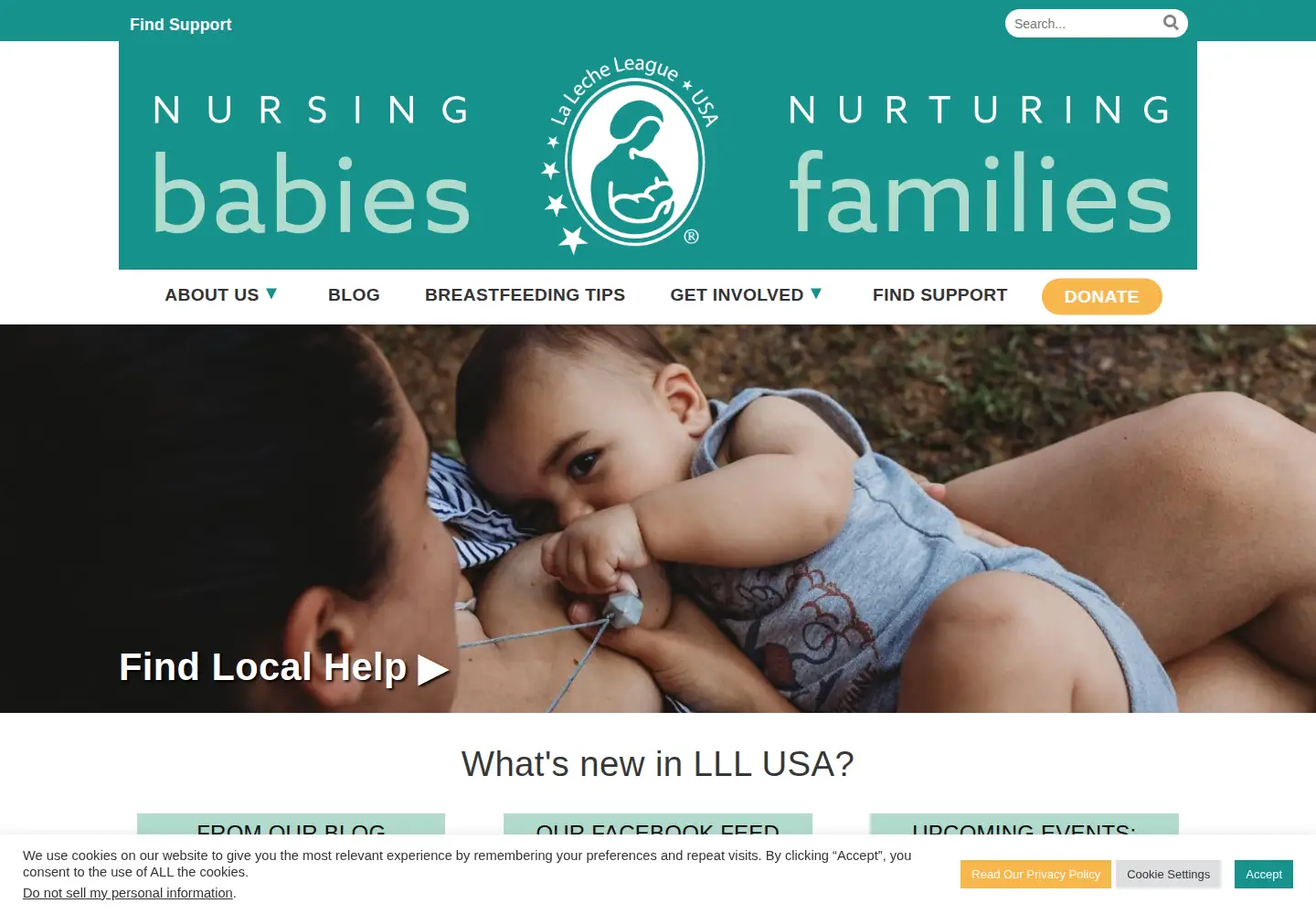 Screenshot of lllusa.org