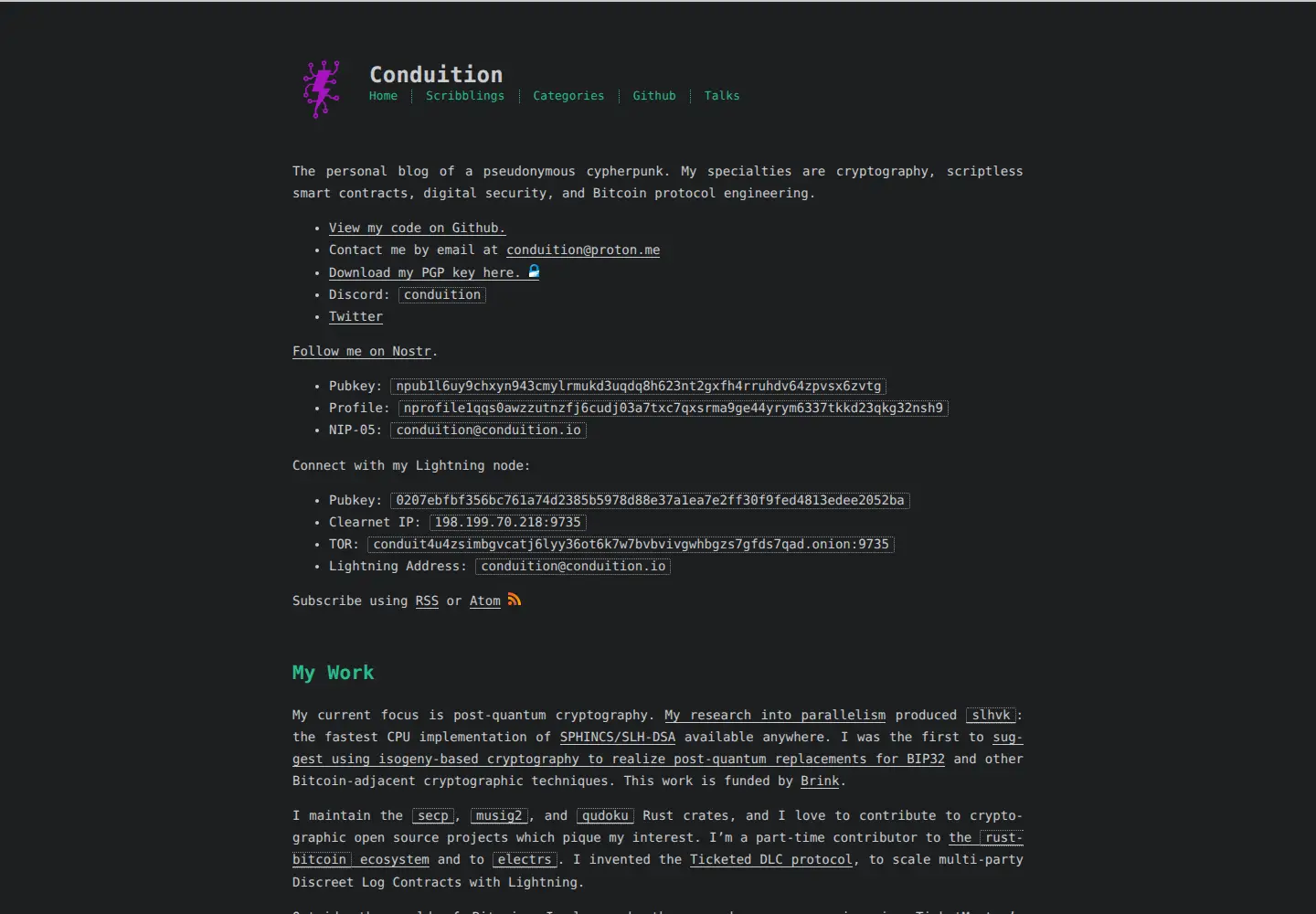 Captured homepage of conduition.io in the current scan