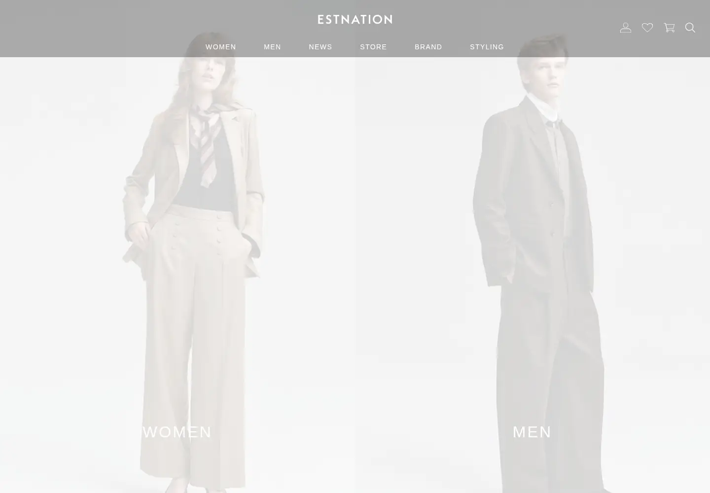 Captured homepage of estnation.co.jp in the current scan