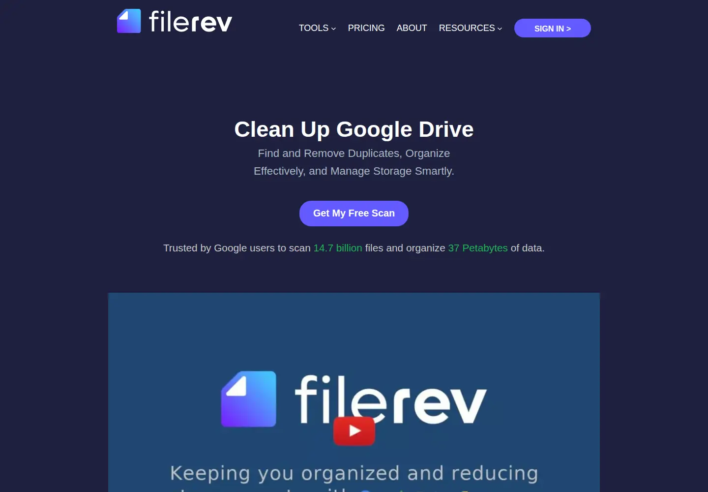 Captured homepage of filerev.com in the current scan