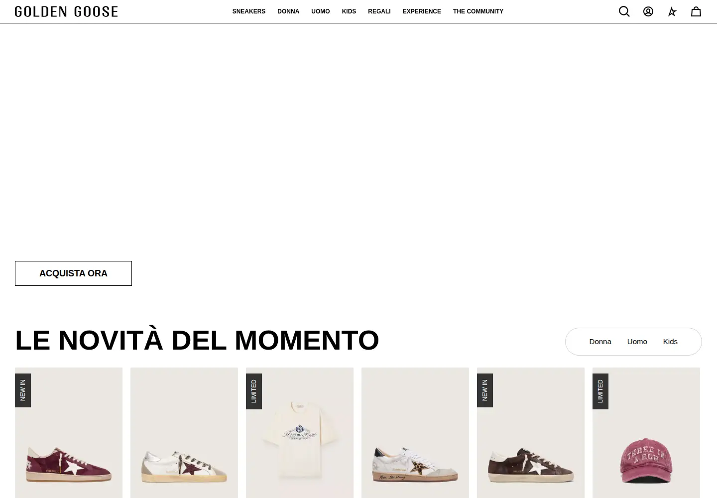 Captured homepage of goldengoose.com in the current scan