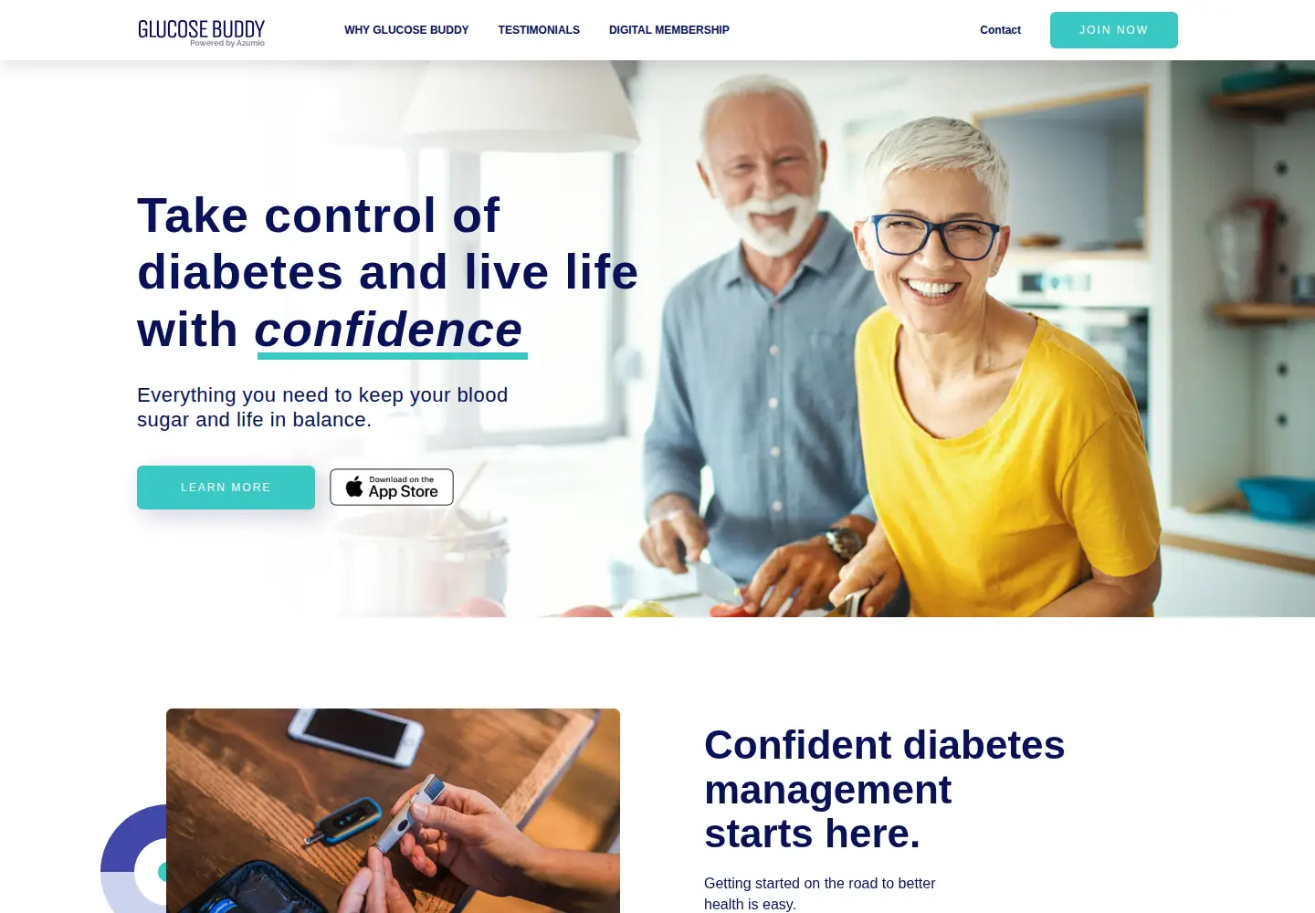 Screenshot of glucosebuddy.com