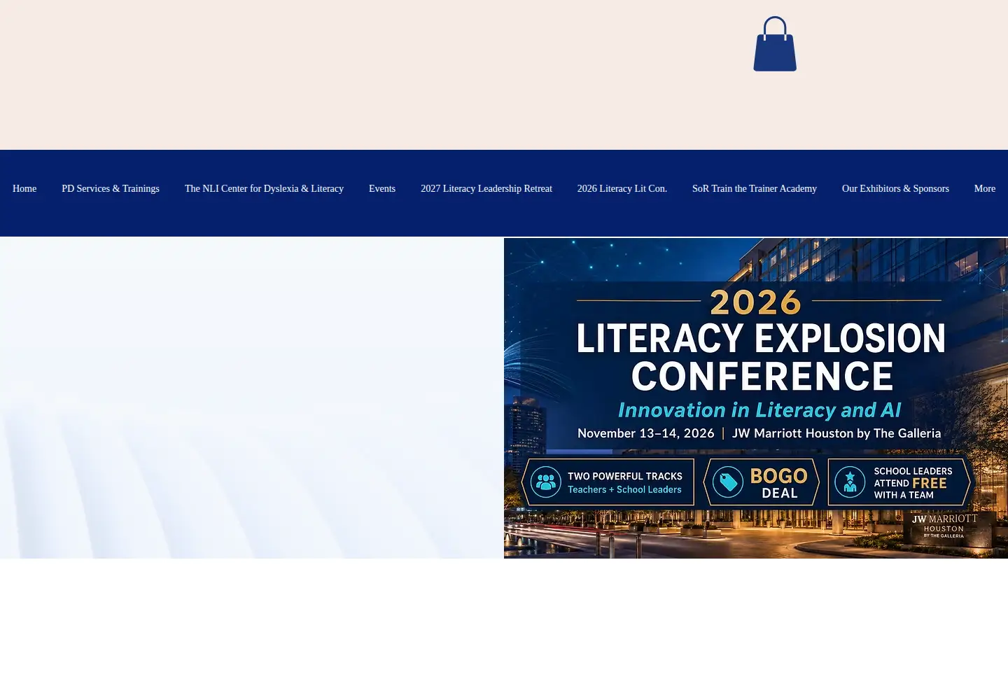 Screenshot of thenationalliteracyinstitute.com