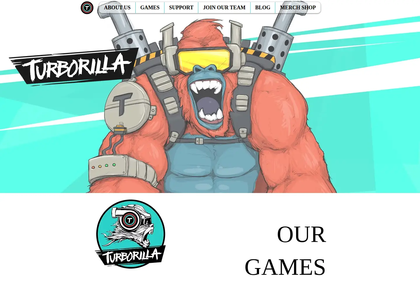 Captured homepage of turborilla.com in the current scan