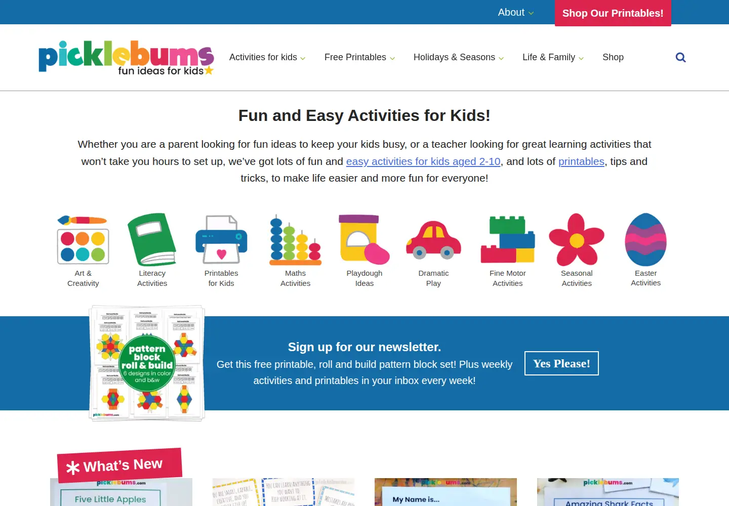 Captured homepage of picklebums.com in the current scan