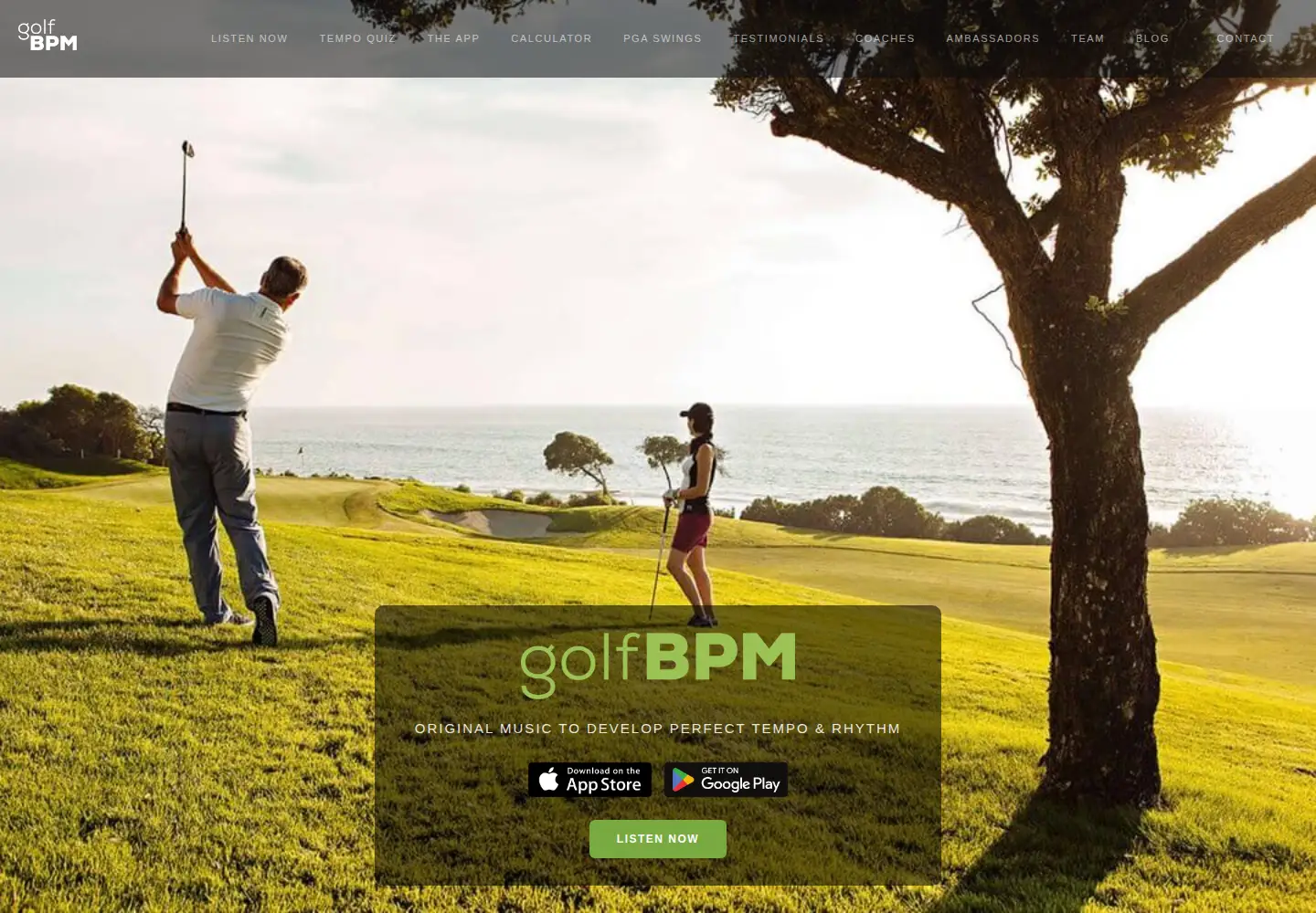 Captured homepage of golfbpm.com in the current scan