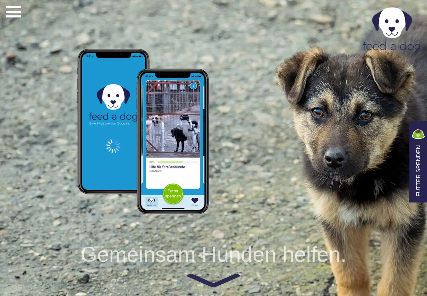 Captured homepage of feedadog.com in the current scan