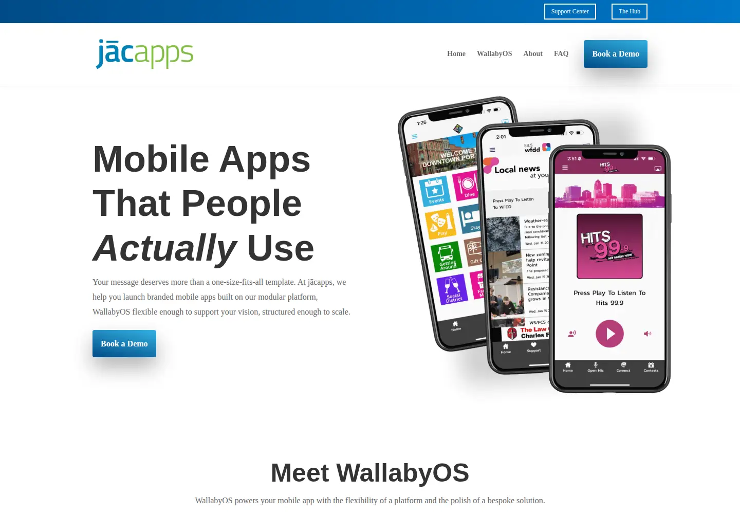 Captured homepage of jacapps.com in the current scan