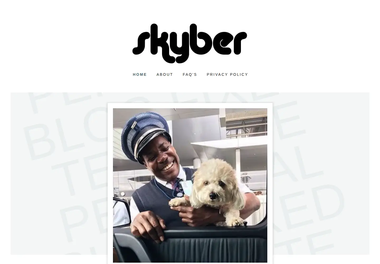 Captured homepage of skyber.org in the current scan