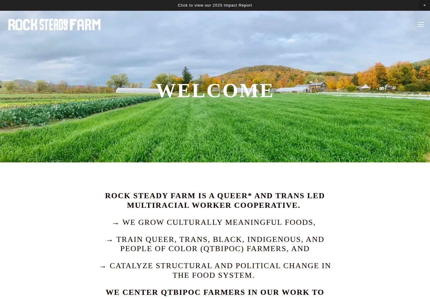 Captured homepage of rocksteadyfarm.com in the current scan