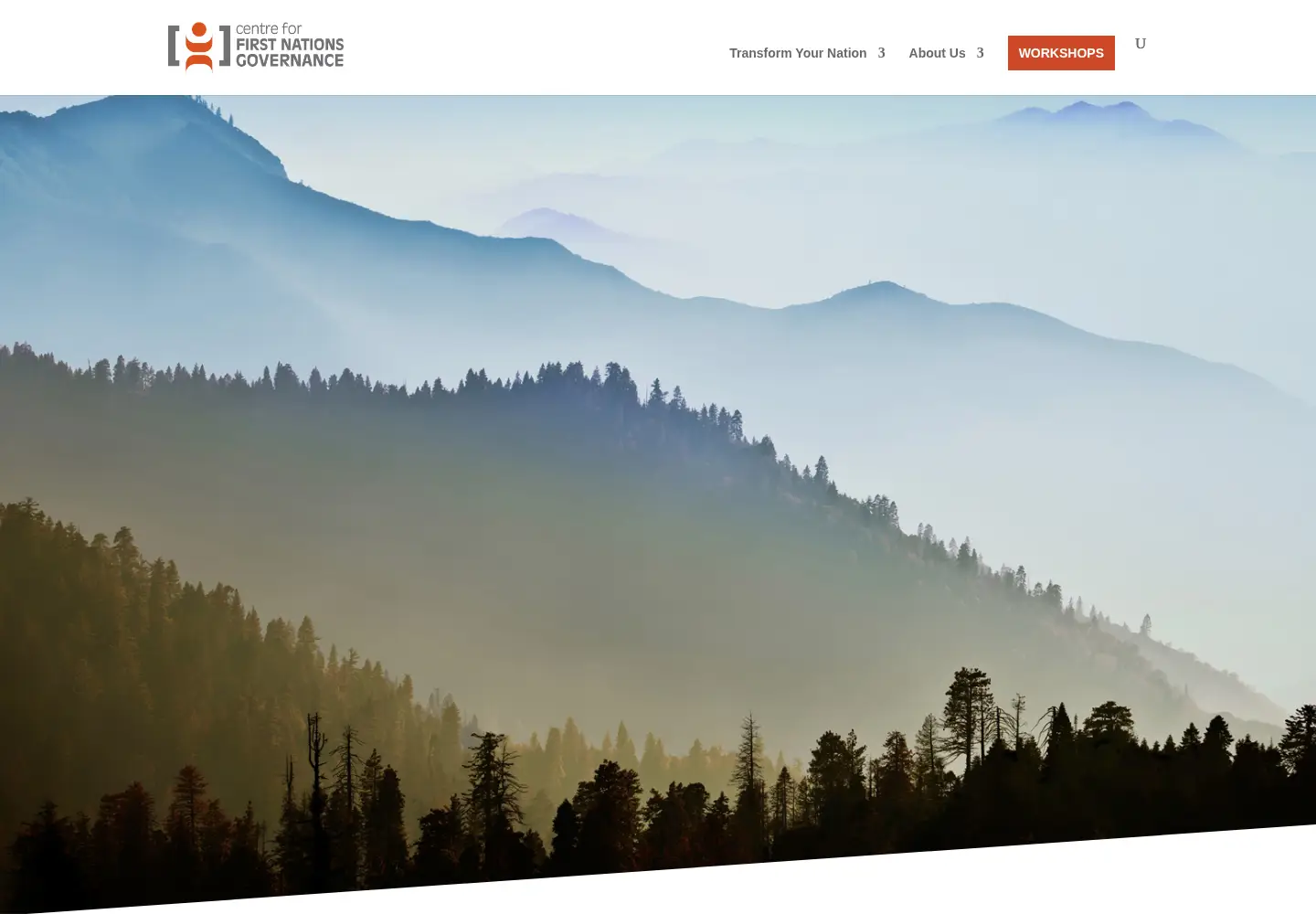 Captured homepage of fngovernance.org in the current scan