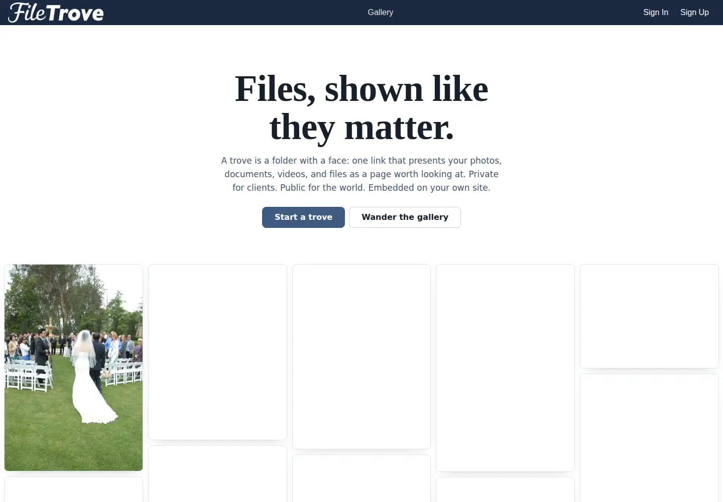 Captured homepage of filetrove.app in the current scan
