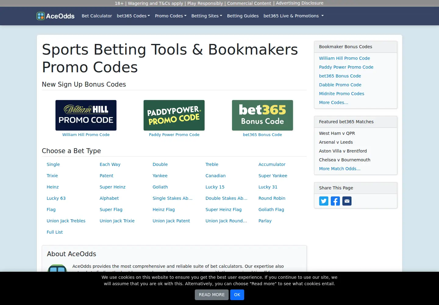Captured homepage of aceodds.com in the current scan