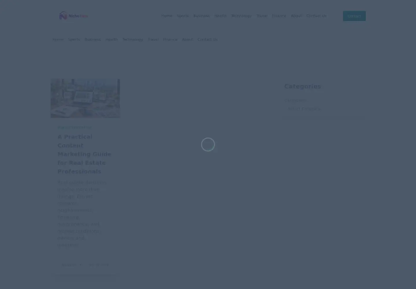 Captured homepage of nichenest.xyz in the current scan