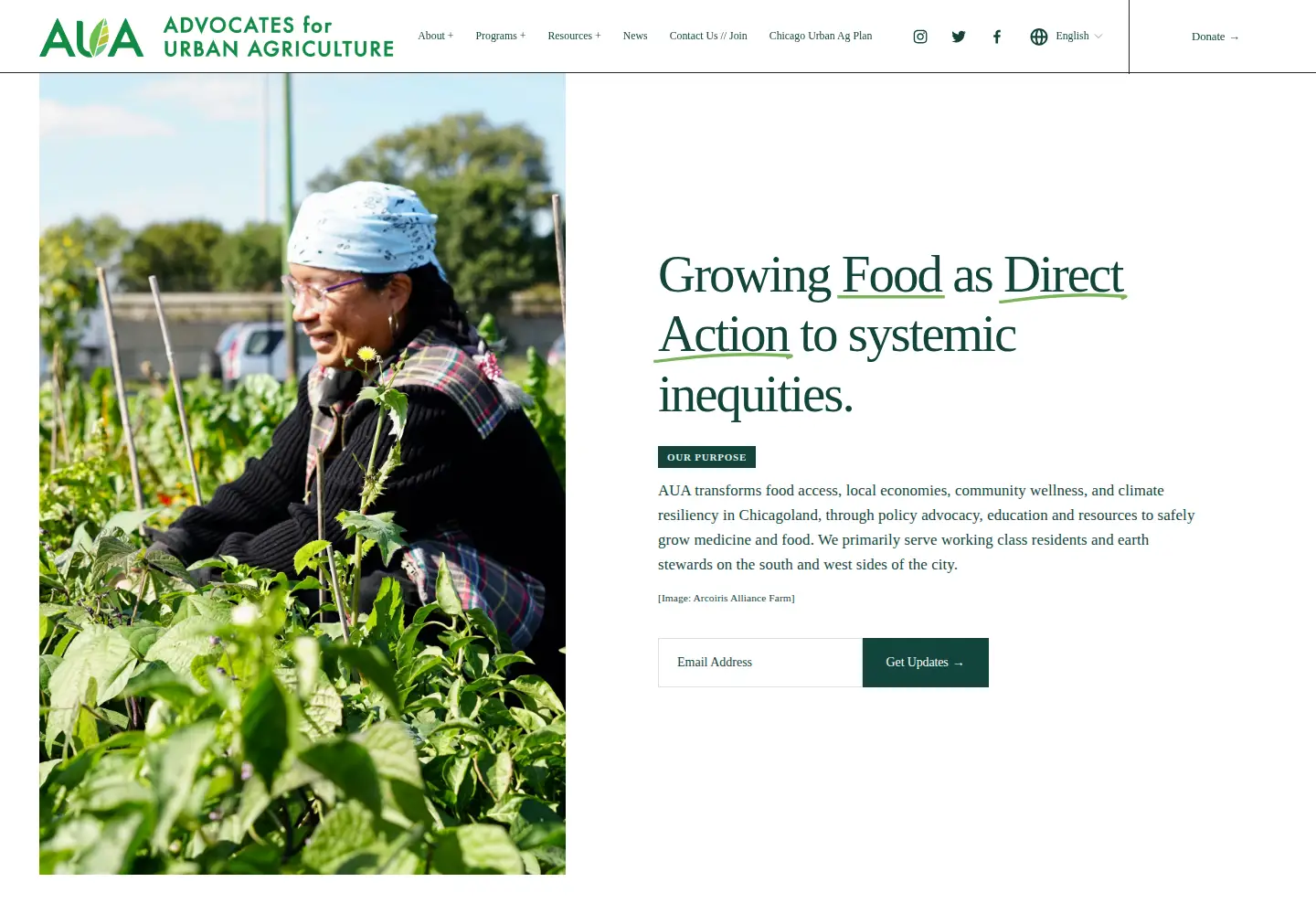 Screenshot of auachicago.org
