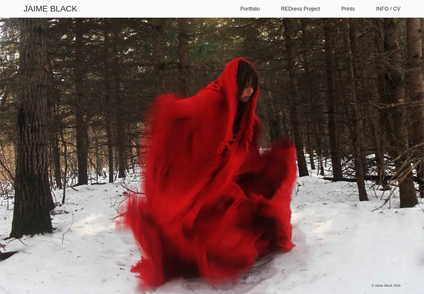 Screenshot of jaimeblackartist.com