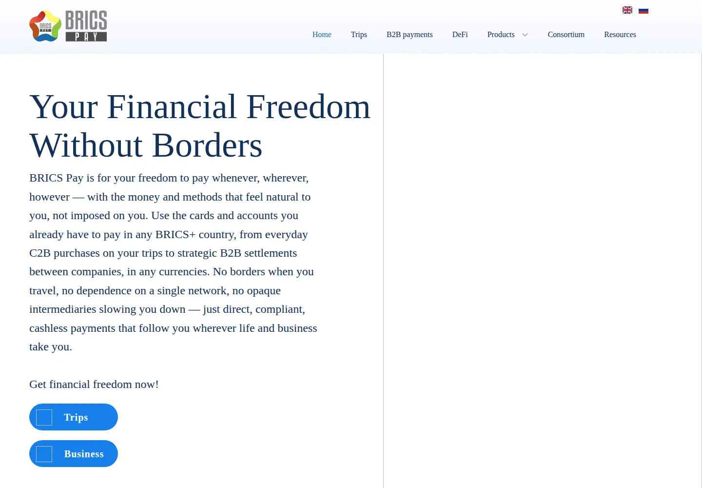 Captured homepage of brics-pay.com in the current scan