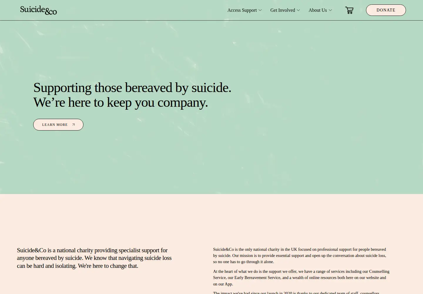 Captured homepage of suicideandco.org in the current scan