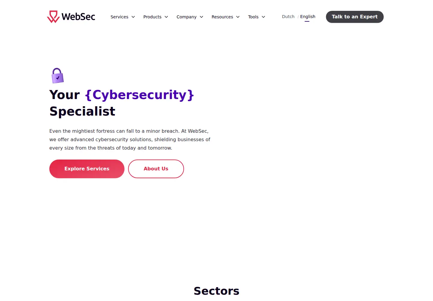 Screenshot of websec.net
