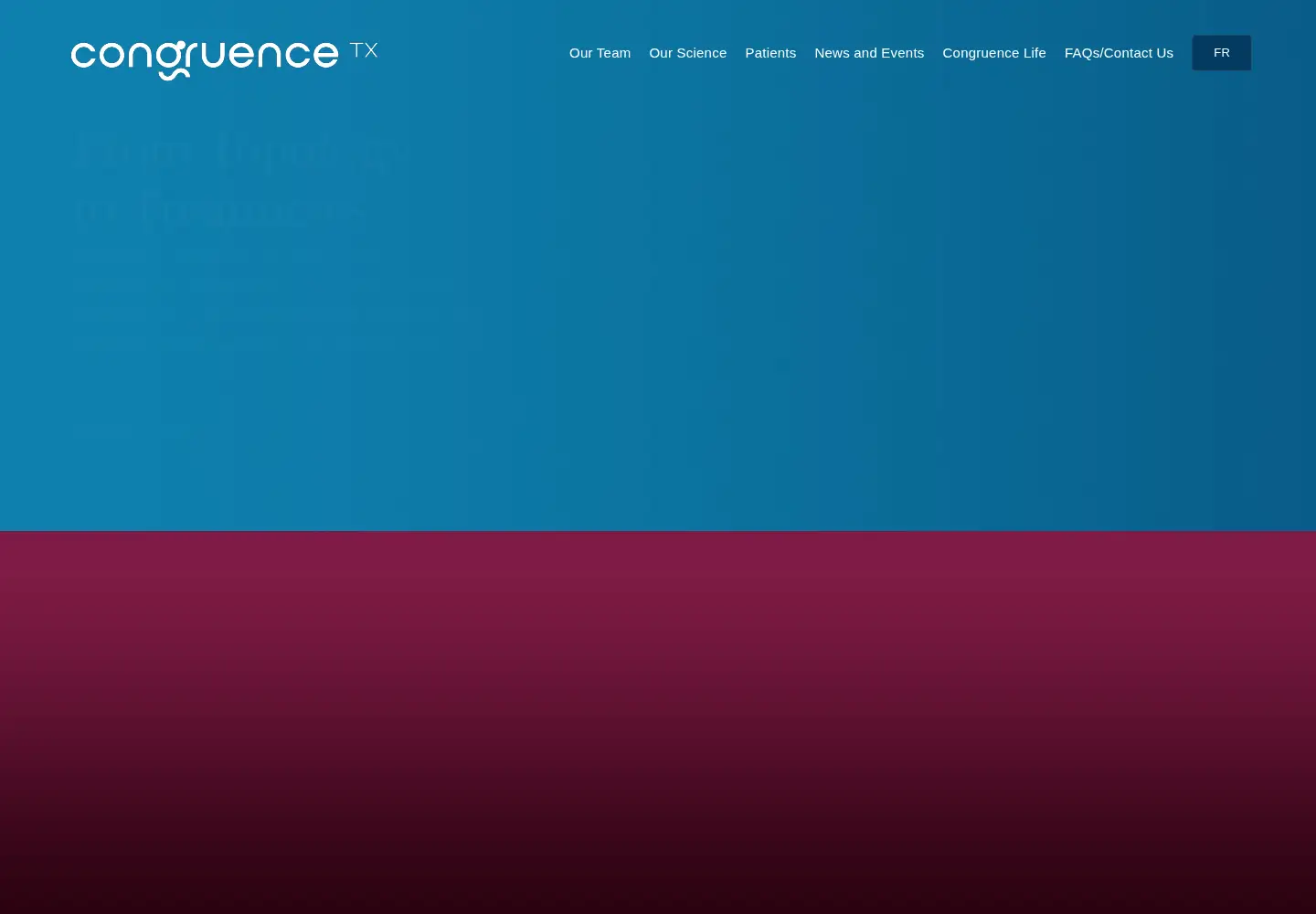 Captured homepage of congruencetx.com in the current scan