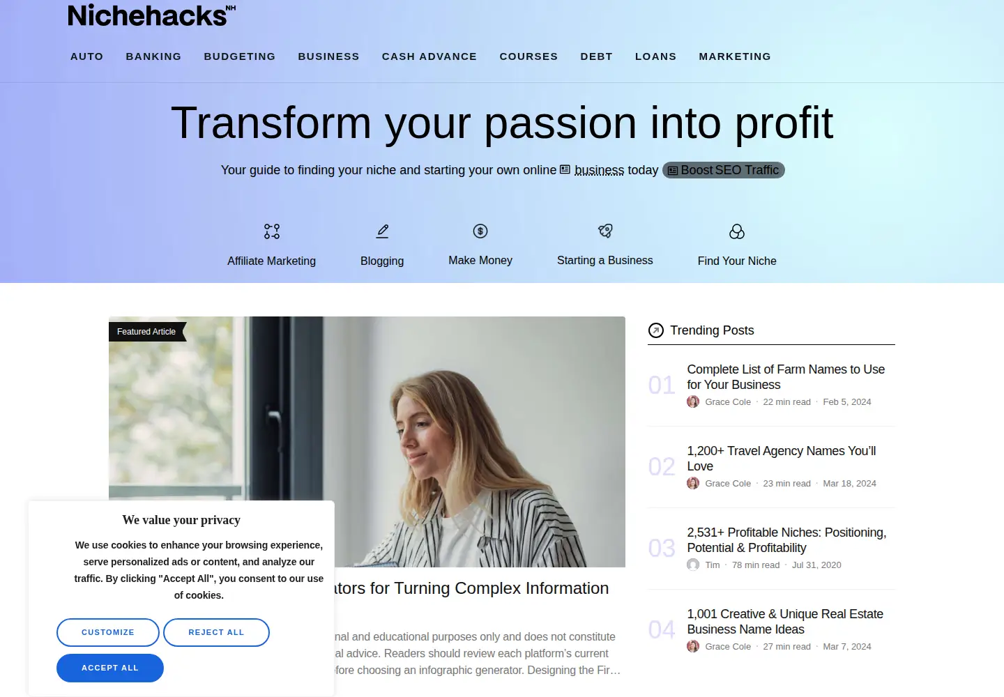 Screenshot of nichehacks.com