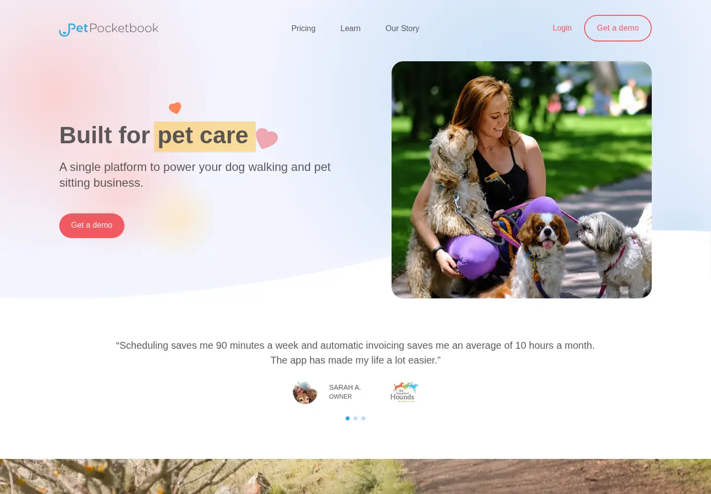 Captured homepage of petpocketbook.com in the current scan