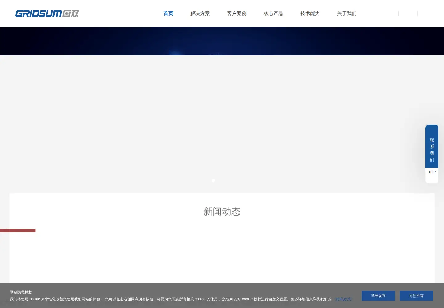 Captured homepage of gridsum.com in the current scan