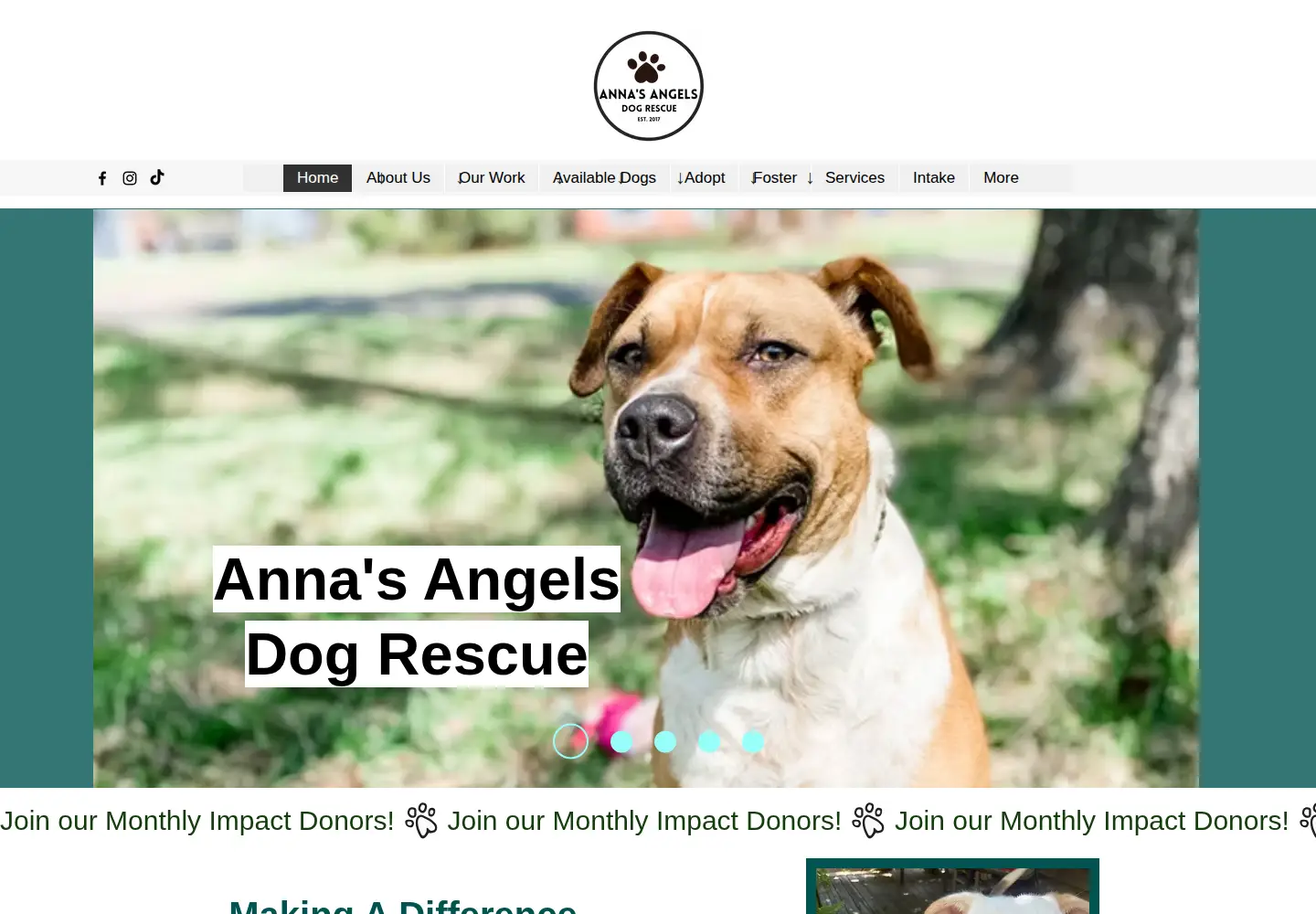Captured homepage of annasangelsdogrescue.org in the current scan