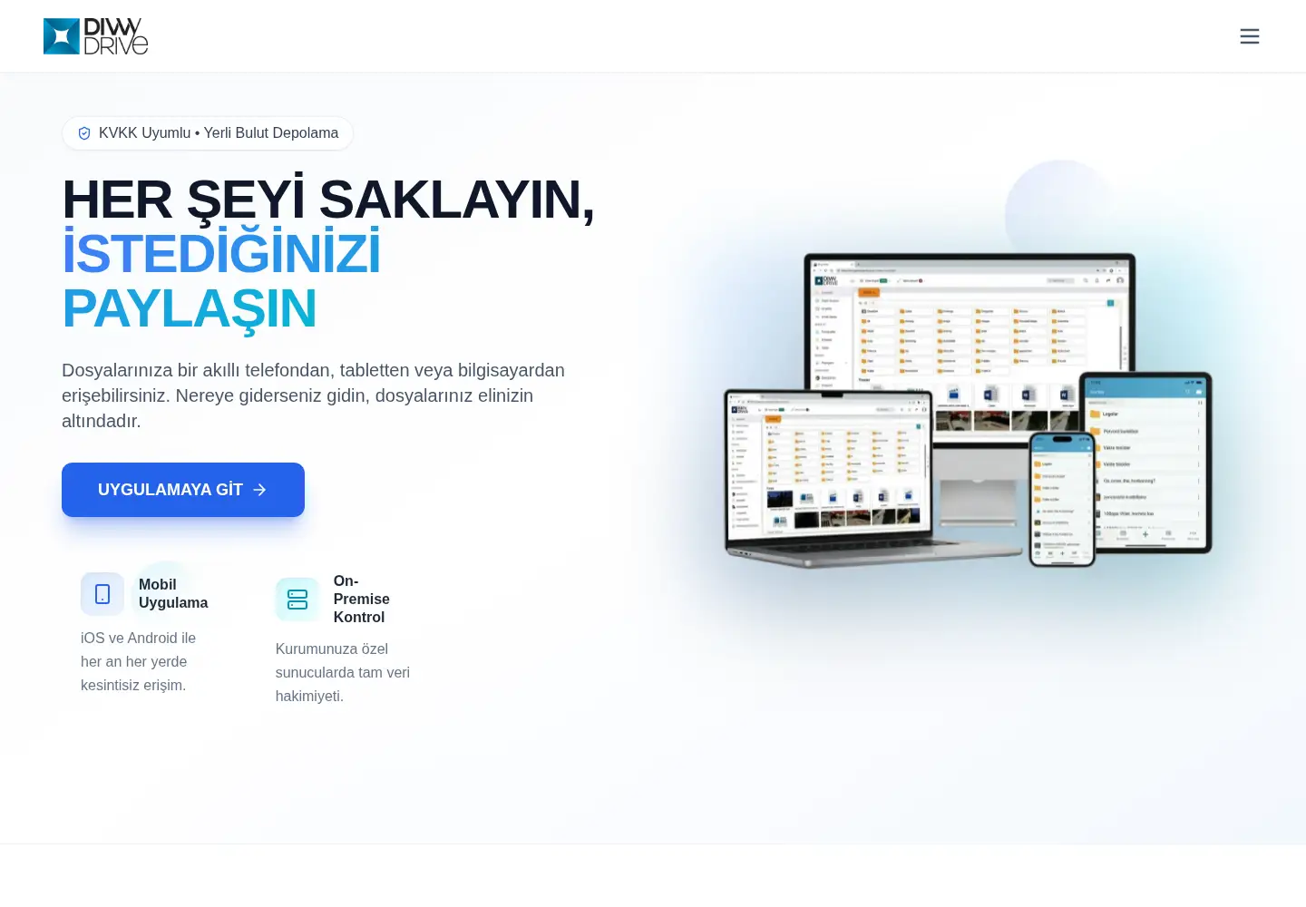 Screenshot of divvydrive.com