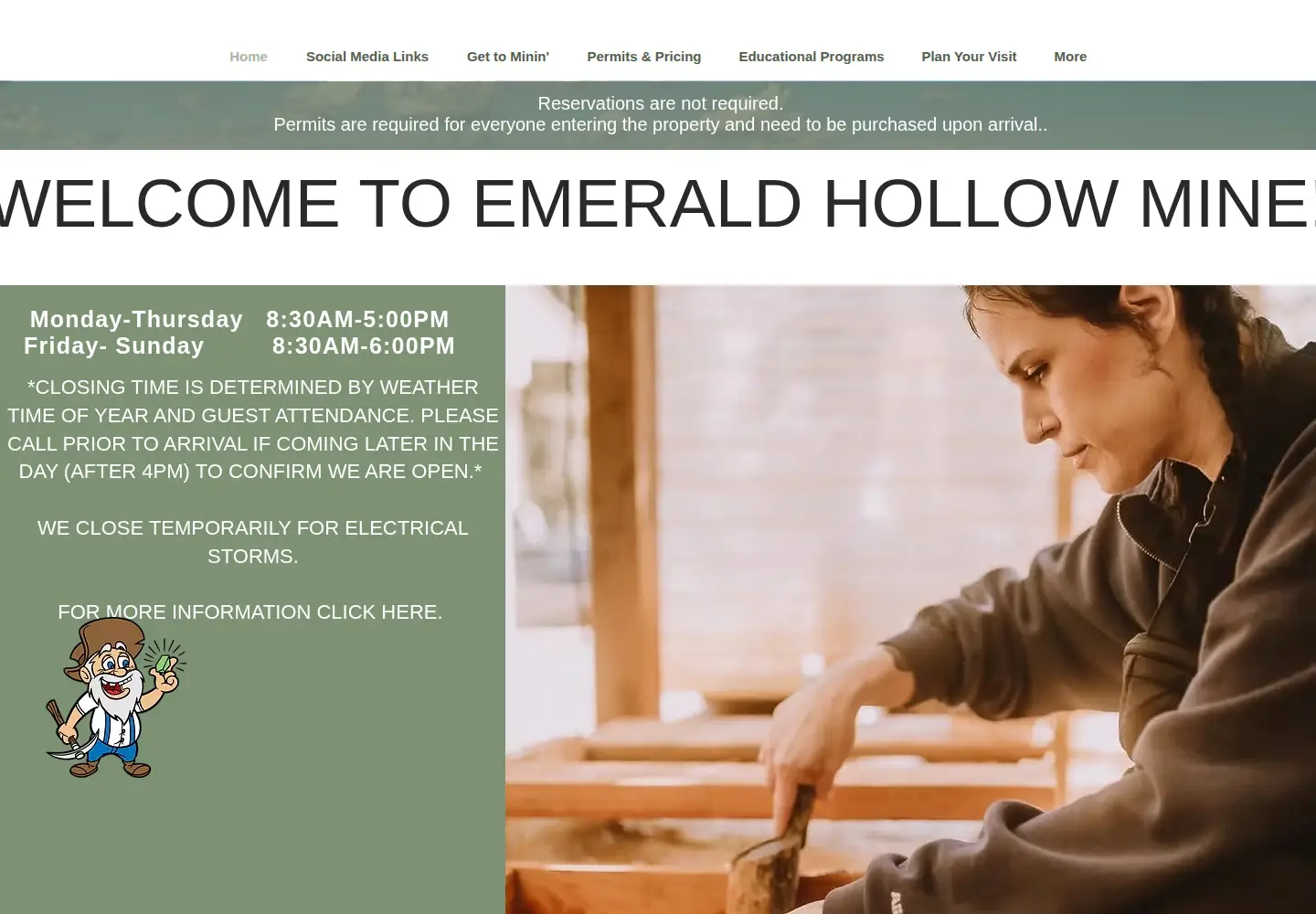 Screenshot of emeraldhollowmine.com