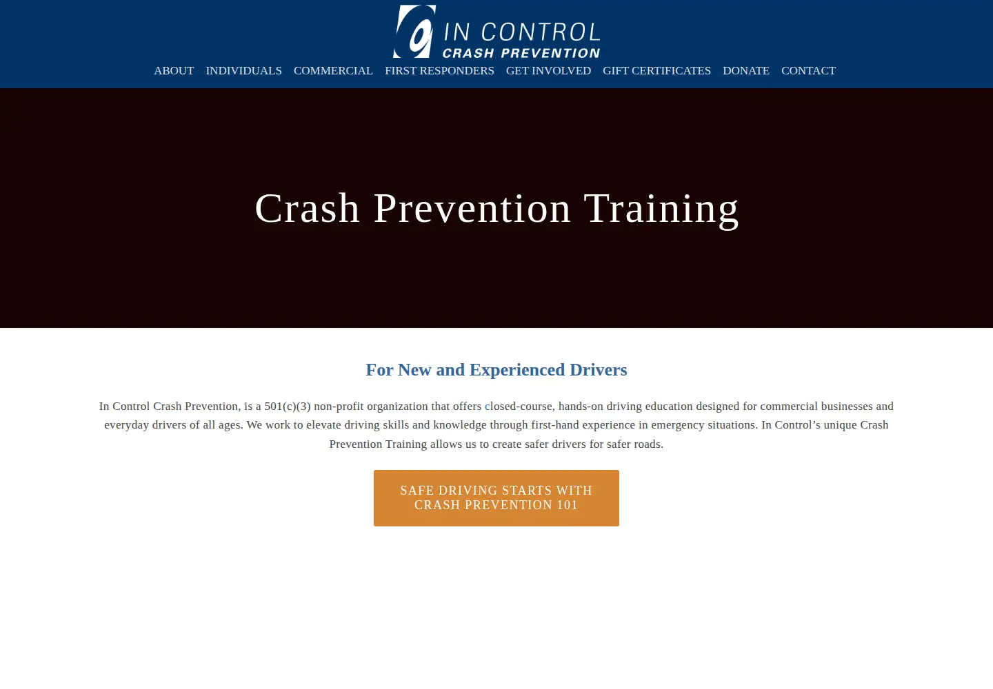 Screenshot of driveincontrol.org