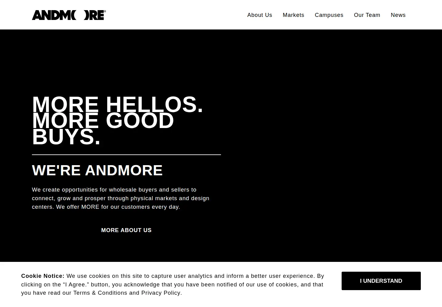 Captured homepage of andmore.com in the current scan