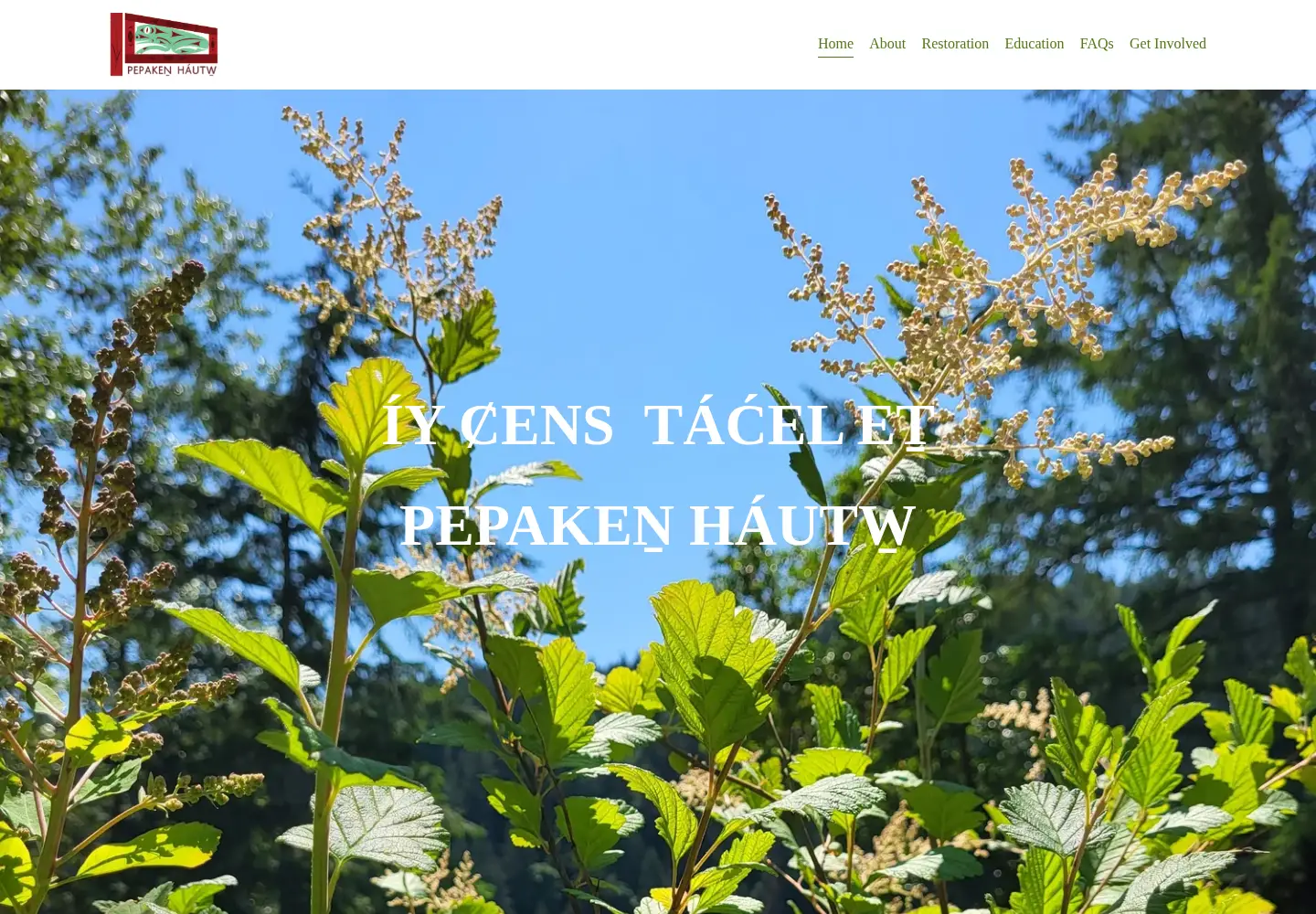 Screenshot of pepakenhautw.com