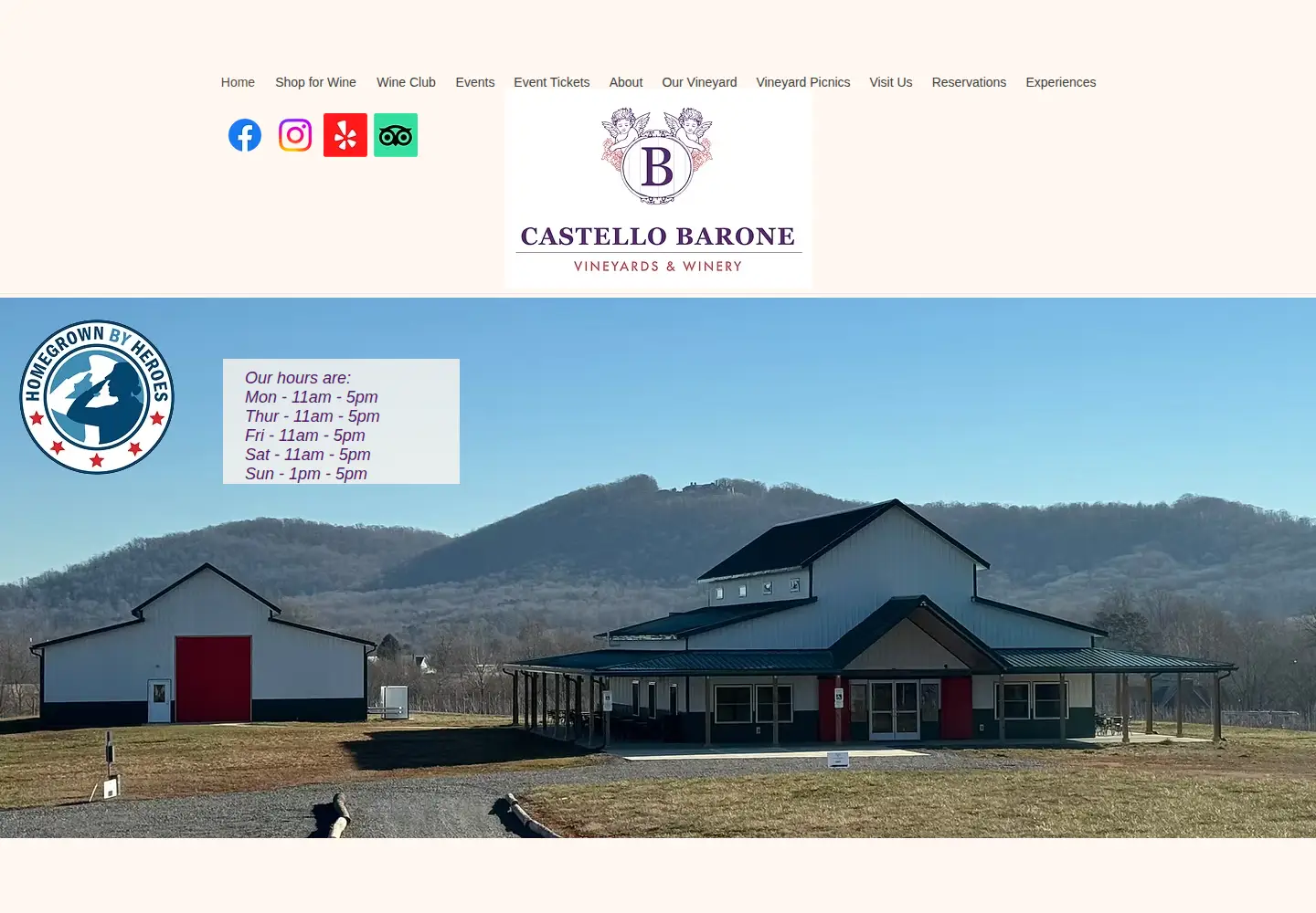 Screenshot of castellobarone.com