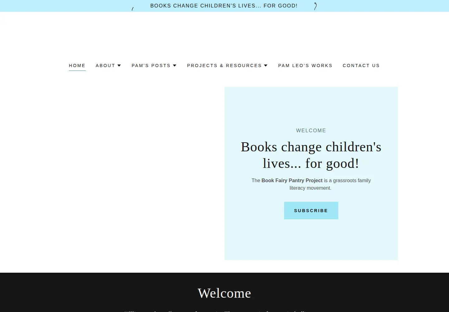 Captured homepage of bookfairypantryproject.org in the current scan