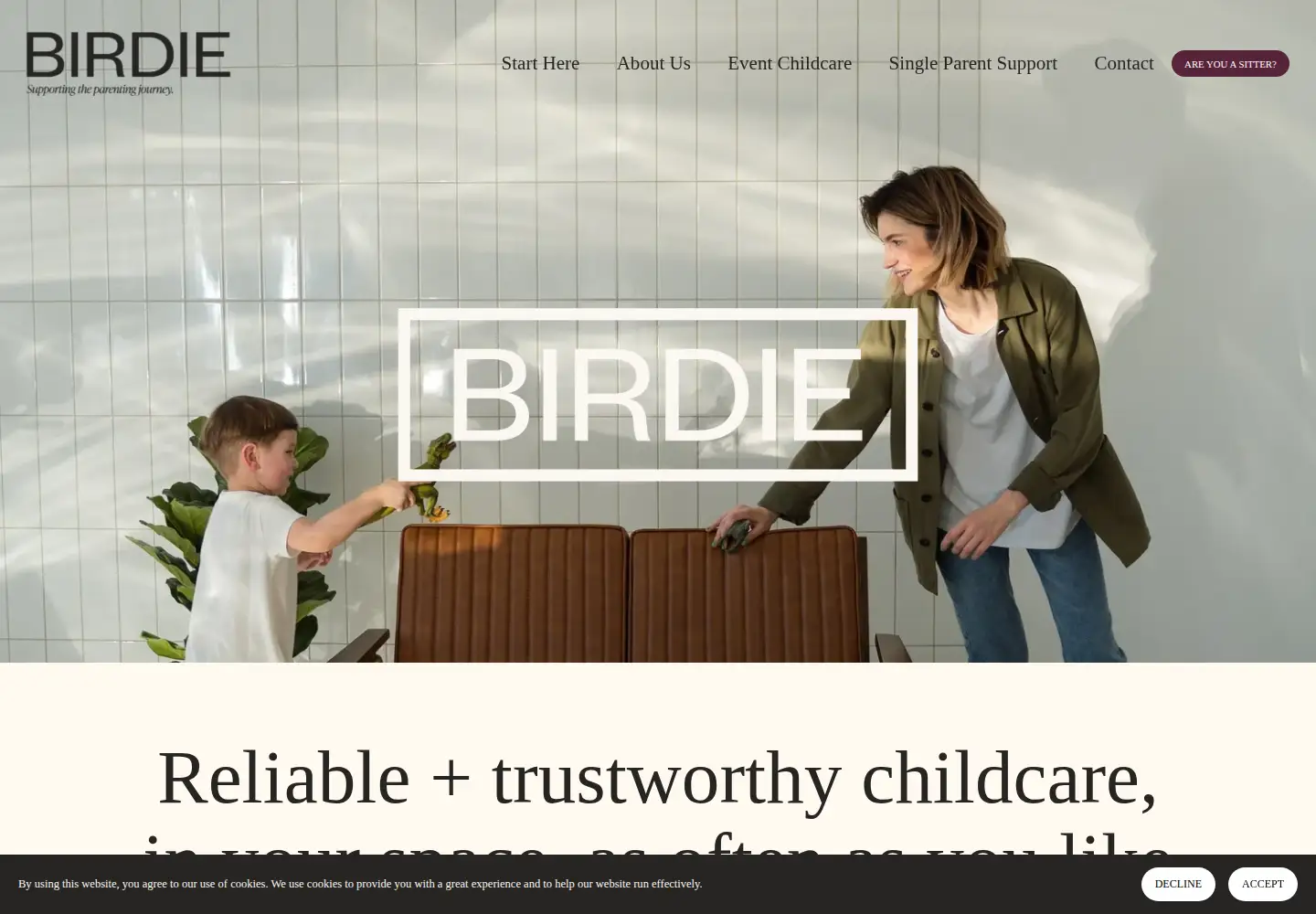 Captured homepage of birdiebreak.com in the current scan